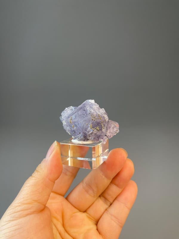 CaF₂ isometric purple fluorite in flower-like form with pyrite