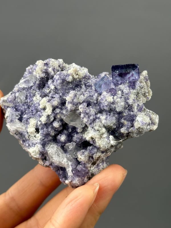Large cubic purple phantom fluorite on white matrix, Yaogangxian Mine, Hunan
