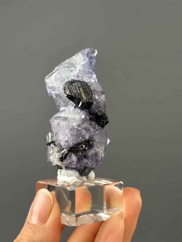 Top view of phantom fluorite with cassiterite, Yaogangxian