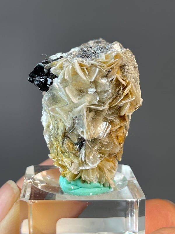 Black prismatic cassiterite on silvery mica from Sichuan