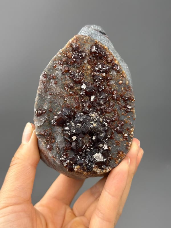 Close-up of onyx eye detail on garnet elephant