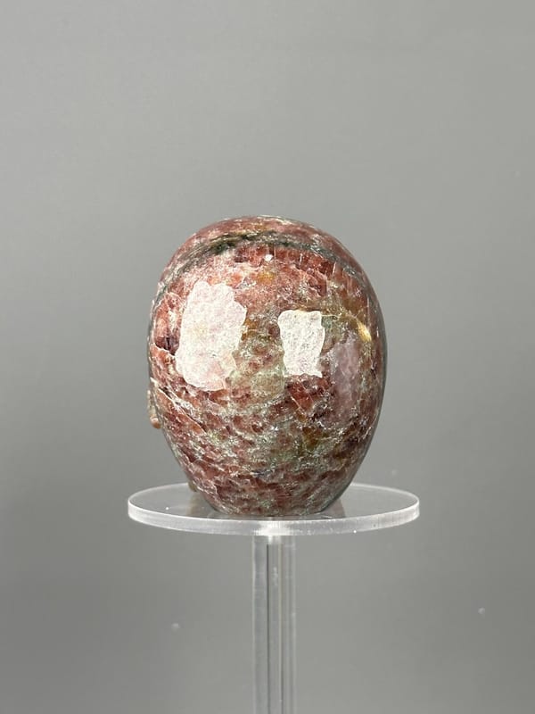 Garnet skull three-quarter profile view