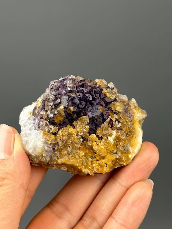 Scale reference of purple fluorite with golden calcite
