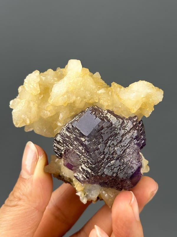 Gentle translucency of purple fluorite cubes