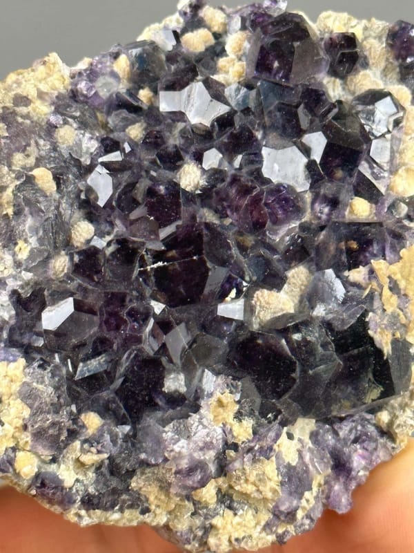 Deep purple fluorite scale reference view