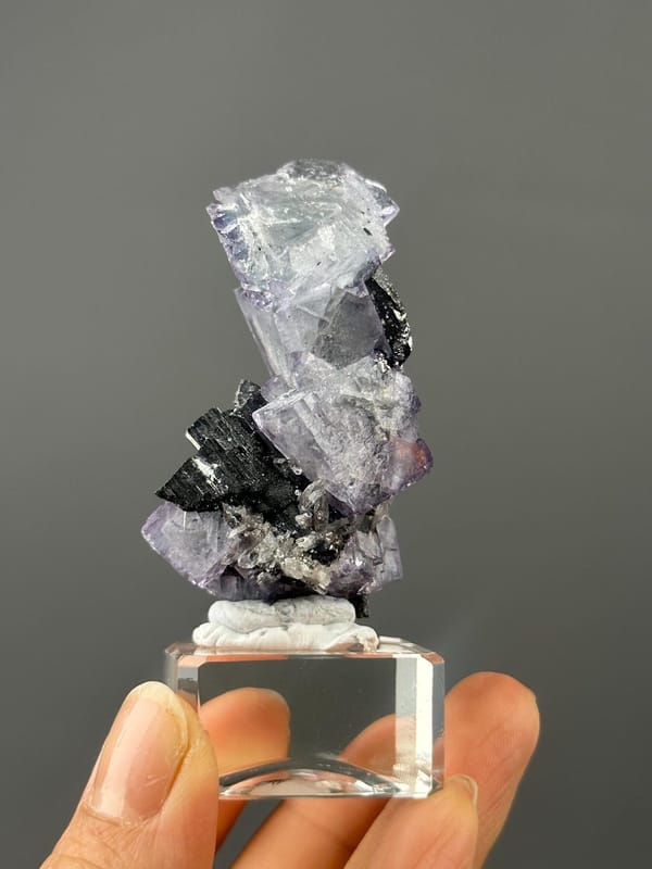 Close-up of cassiterite inclusion within purple phantom fluorite