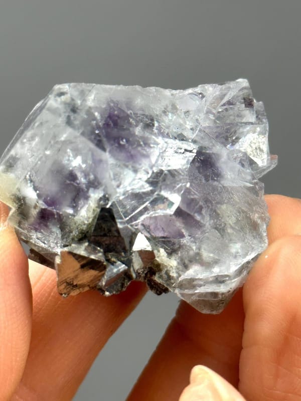 Close-up of golden pyrite crystals on fluorite