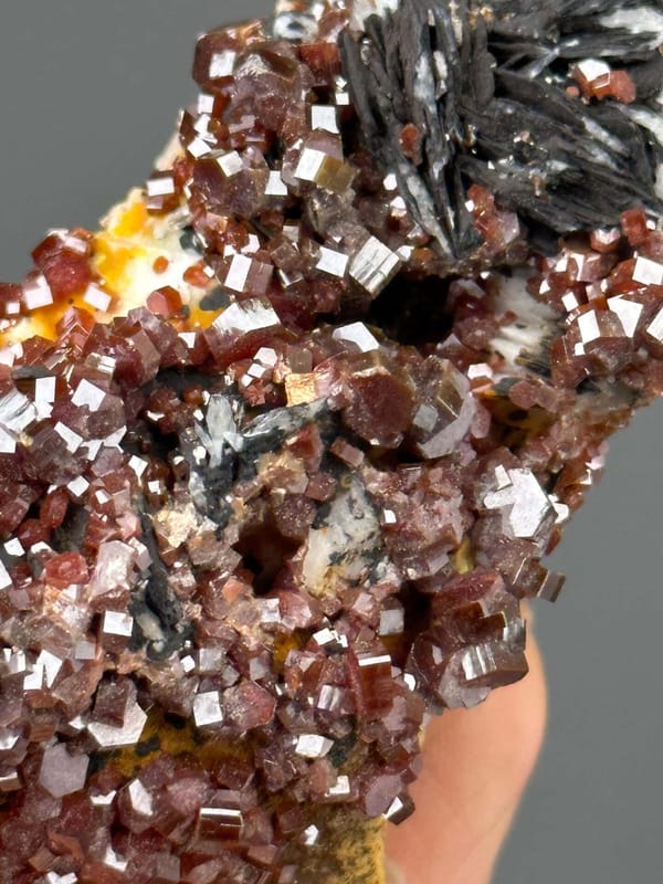 Back view of vanadinite cluster on barite matrix