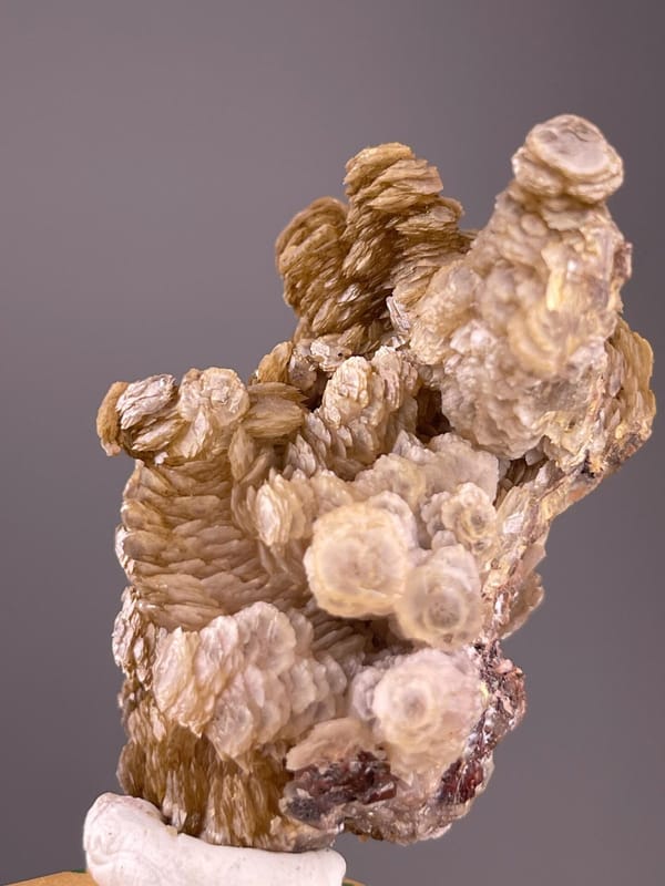 Paddle calcite cluster with vitreous luster on matrix