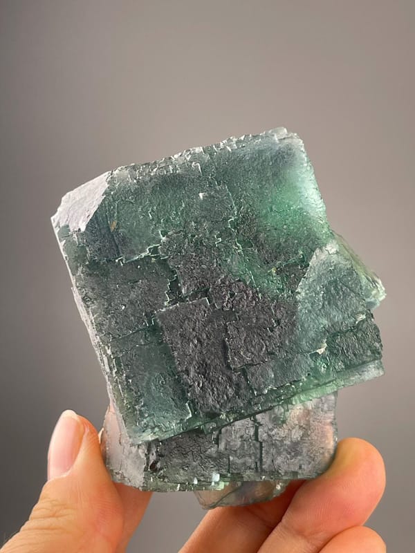 Multiple green cubic fluorite crystals on matrix from Namibia