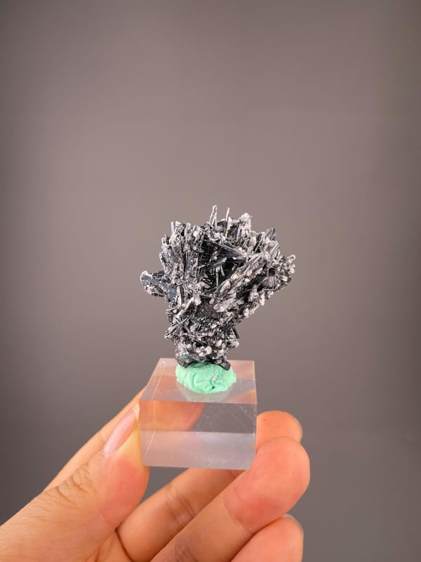 Metallic gray stibnite prismatic crystal with white calcite