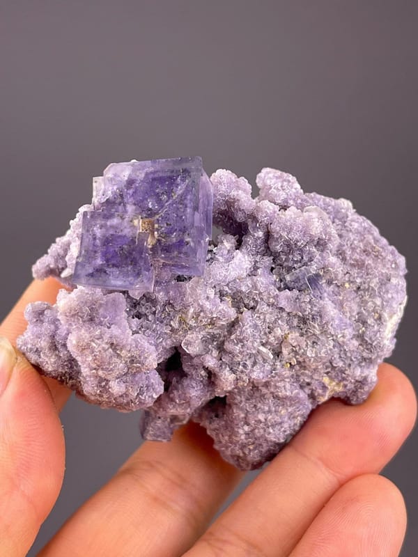 CaF₂ isometric purple fluorite with associated mica on matrix