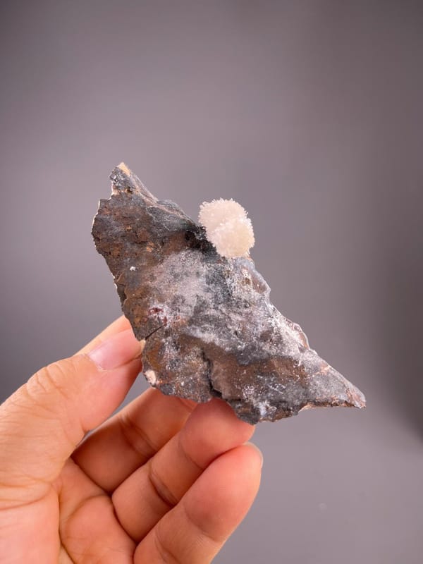 Gypsum flower formation with delicate radial crystal petals