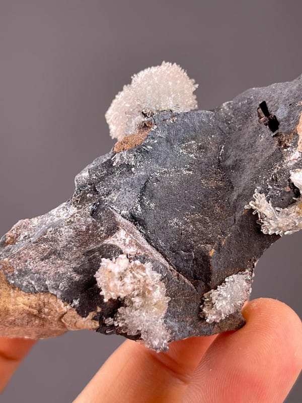 Natural gypsum flower from Guizhou mineral deposit on matrix