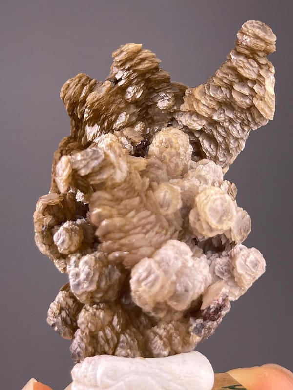 Top view of paddle calcite showing fan crystal formation