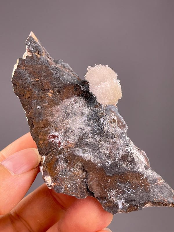 CaSO₄·2H₂O monoclinic gypsum in delicate flower petal form