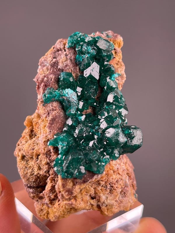 Congo dioptase crystal cluster, 1.59 oz, vitreous luster