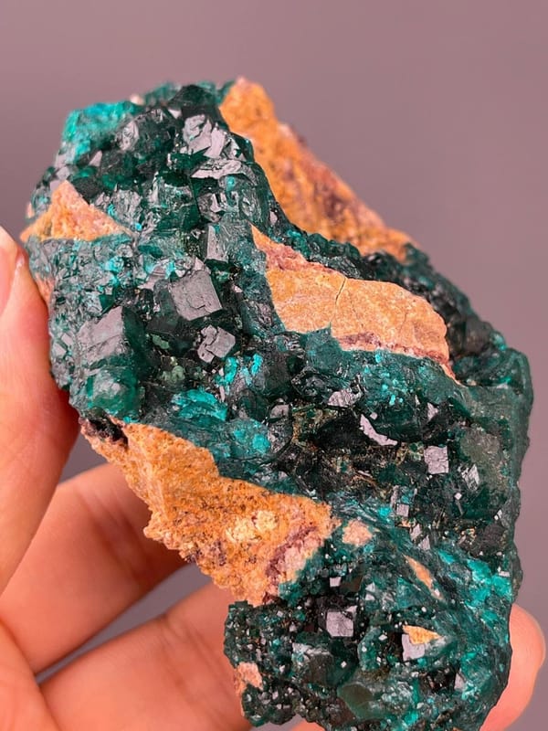 Dioptase crystal group on contrasting red-brown host rock
