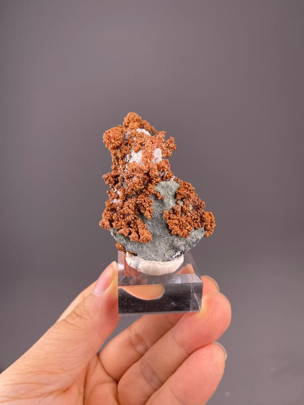 Native copper dendritic crystal cluster, Jiangxi, China