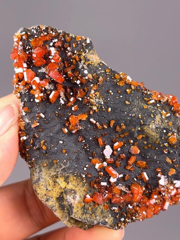 Vanadinite Pb5VO4Cl hexagonal on black barite, Morocco