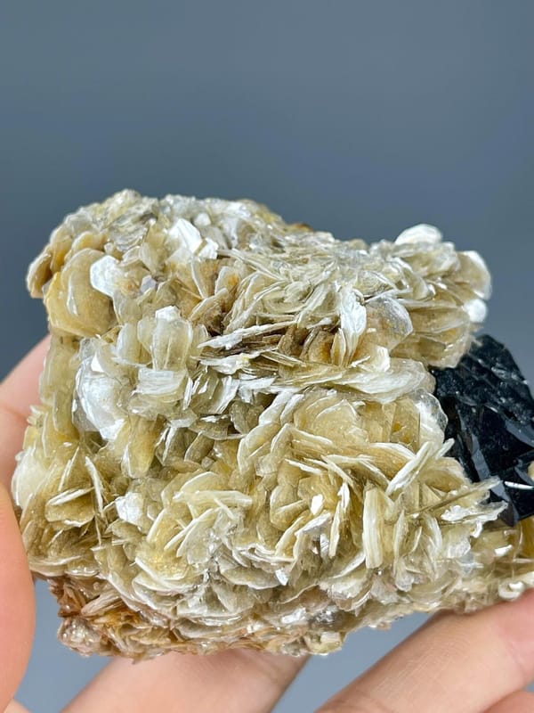 Cassiterite tetragonal black on bladed mica, Xuebaoding