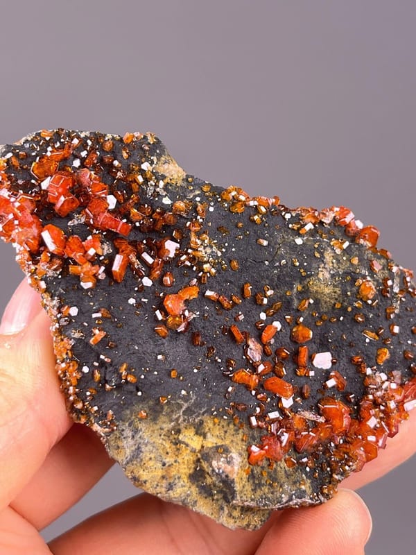 Large red vanadinite crystals distributed on dark barite