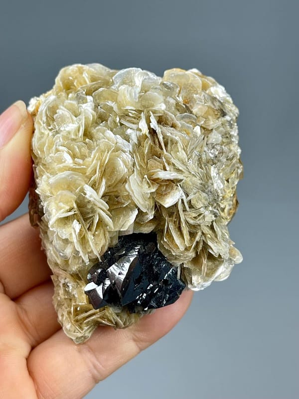 Top view of cassiterite on muscovite mica, Xuebaoding