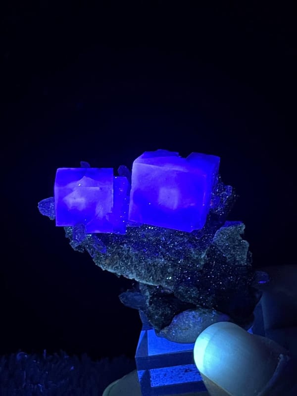 Blue-purple fluorite double cube displaying vitreous luster