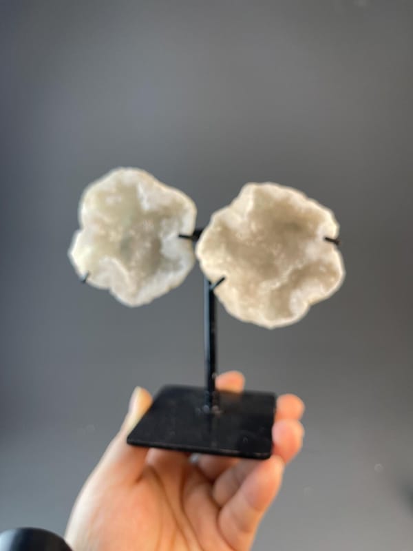 Close-up of druzy quartz crystals inside Brazilian geode