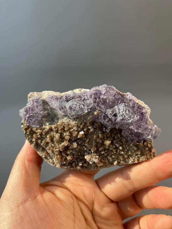 Purple phantom fluorite crystals contrasting with silver mica