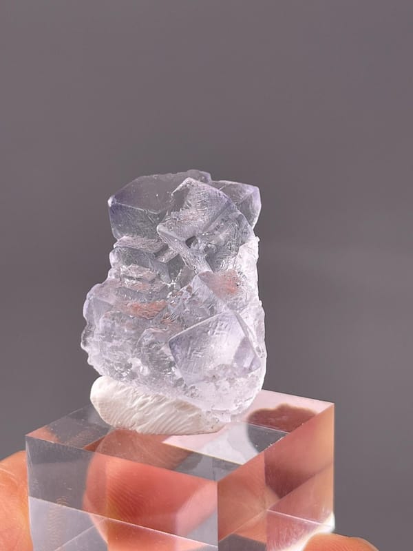 Top view showing dissolved surface detail on fluorite
