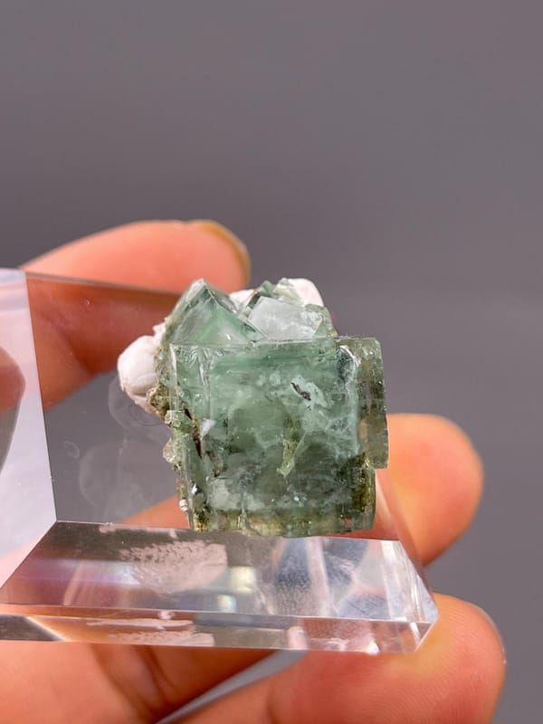 Both fluorite specimens overhead top-down view