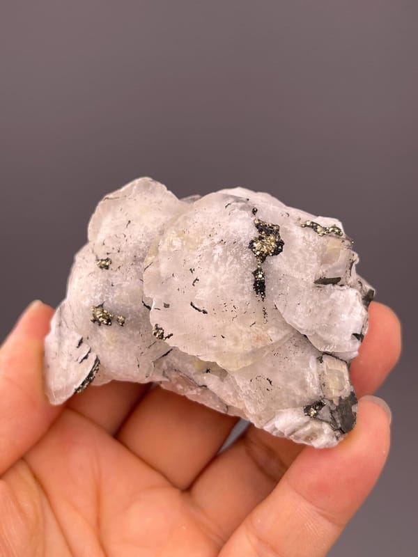 Golden pyrite inclusions in calcite petals detail