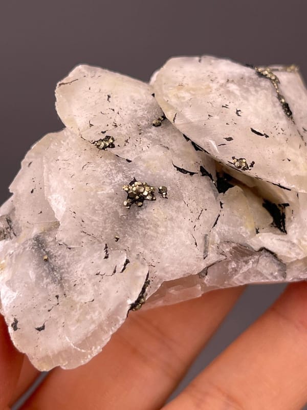 Full petal calcite pyrite specimen on white background