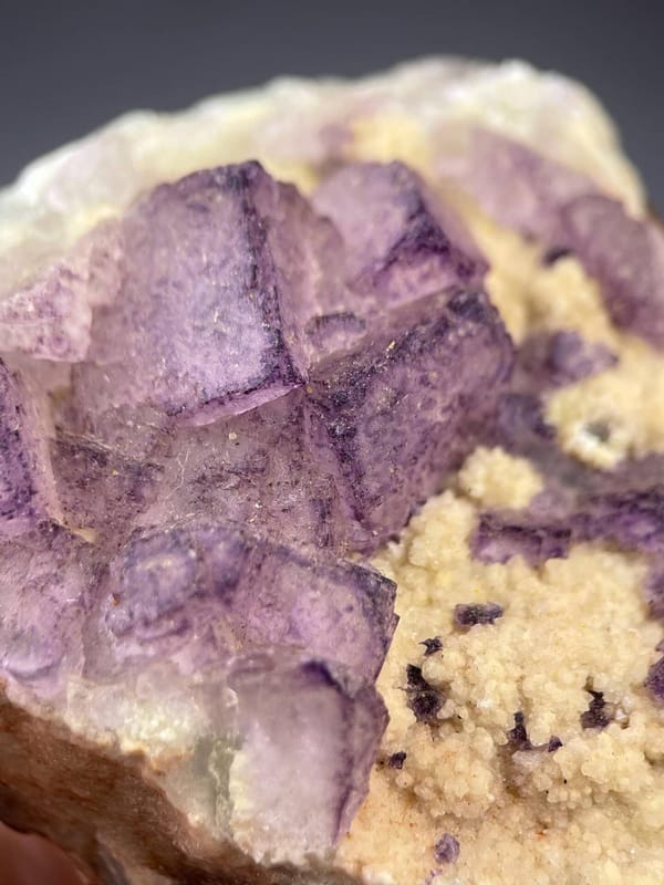 Full specimen purple fluorite on white background