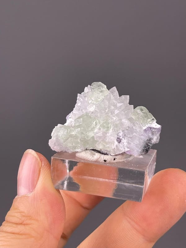 Green fluorite cubes nestled on sparkling quartz matrix