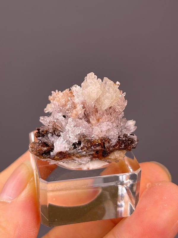 Side view of selenite flower, 2.1×1.7×0.7 in, Guizhou