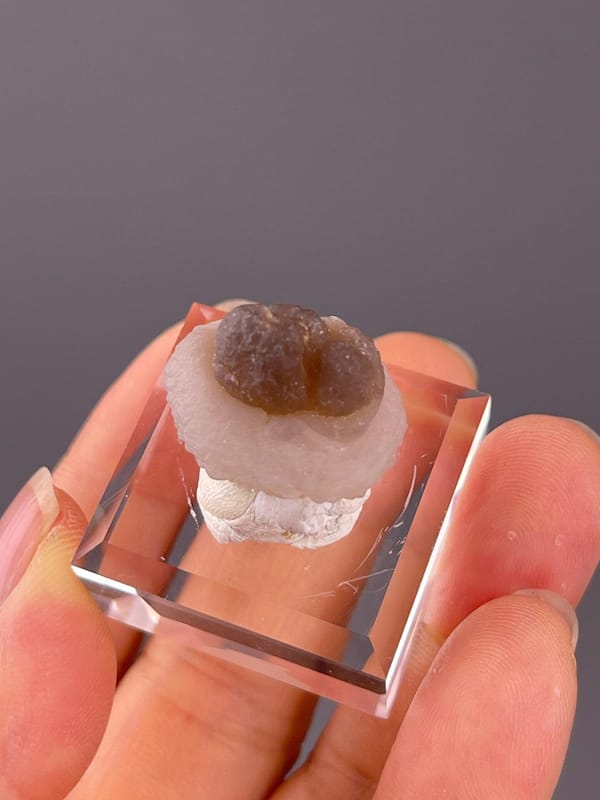 CaCO₃ trigonal calcite, Mohs 3, panda botryoidal, China, 0.18 oz