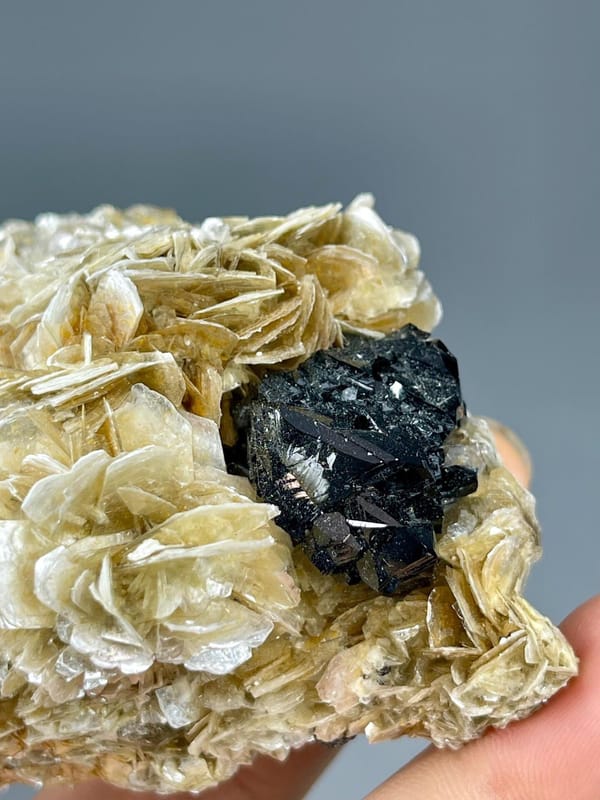 Black cassiterite crystals on silver bladed muscovite mica
