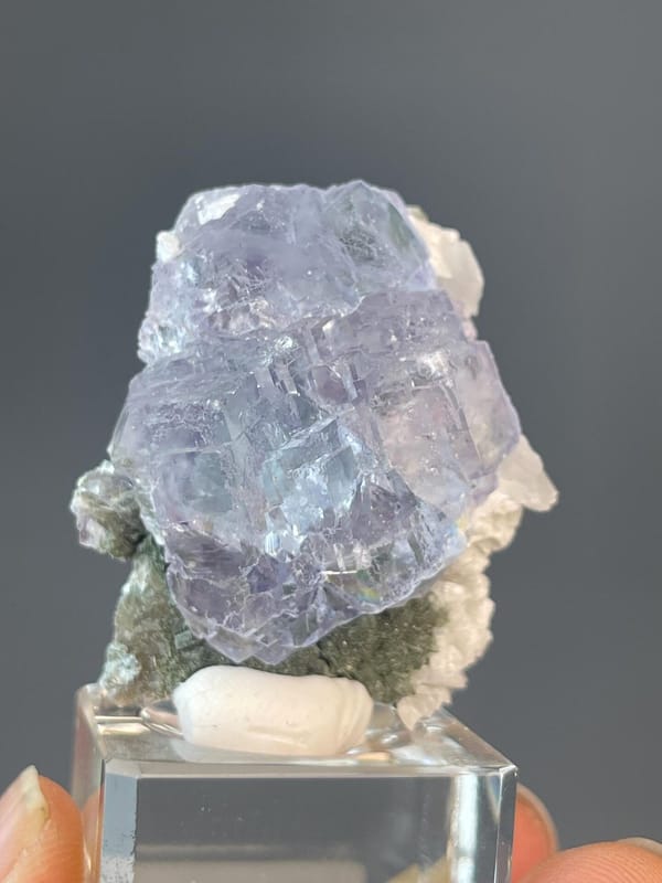 High clarity fluorite revealing blue purple phantom growth