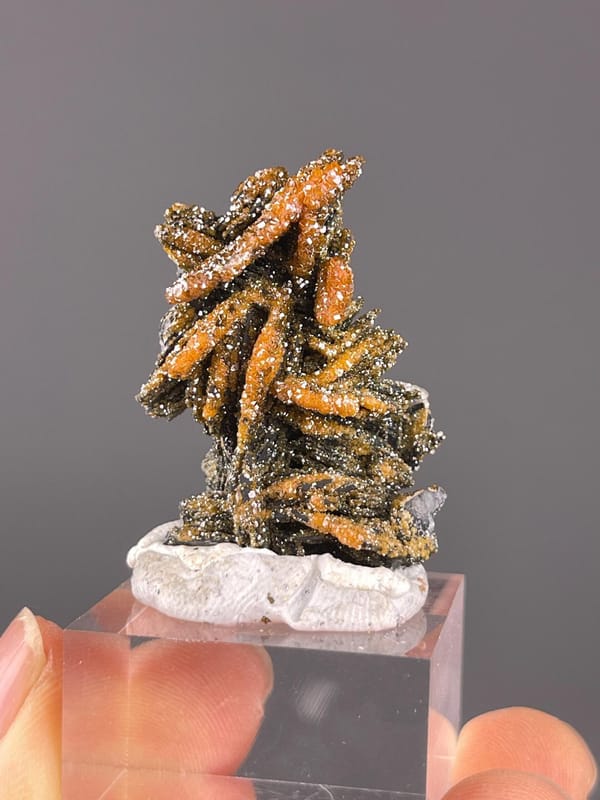 Vanadinite vibrant red crystals on black matrix, Morocco