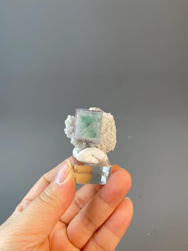 Well-defined cube form of fluorite CaF2 from Yaogangxian mine