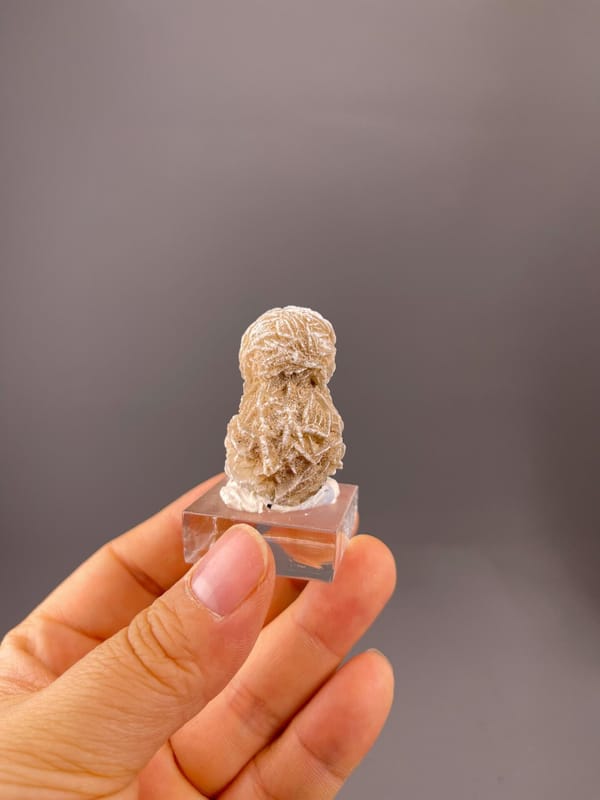 CaSO₄·2H₂O monoclinic gypsum with lenticular rosette habit