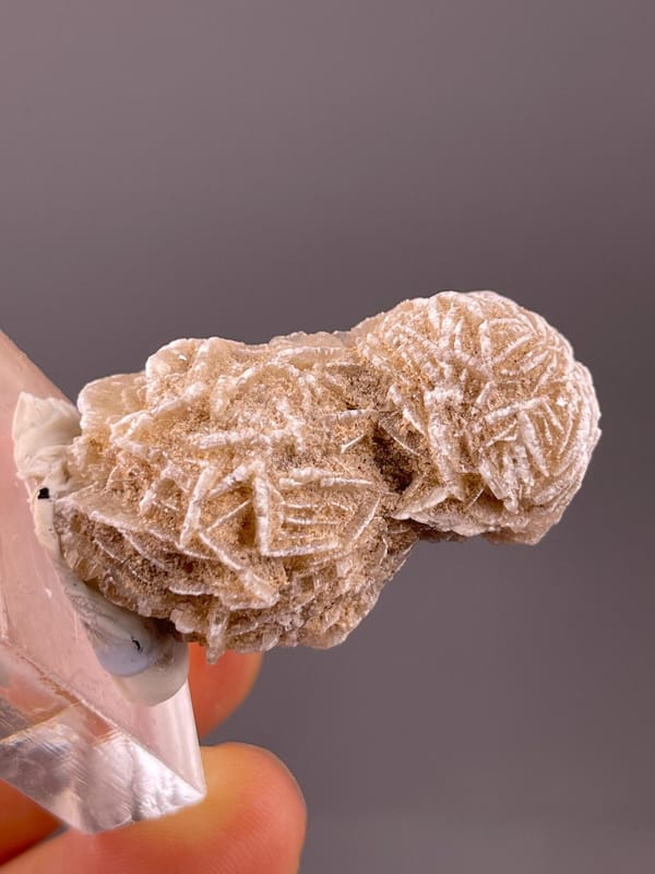 Natural gypsum flower with sandy matrix inclusion, Mexico