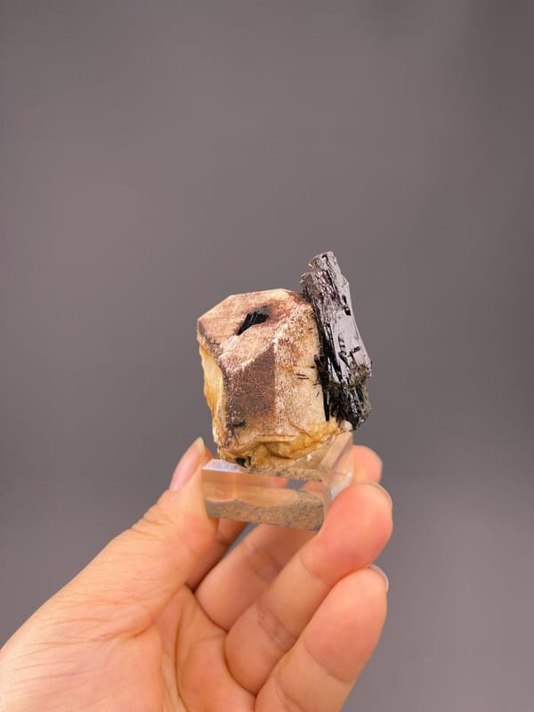 Multiple black tourmaline crystals on white feldspar