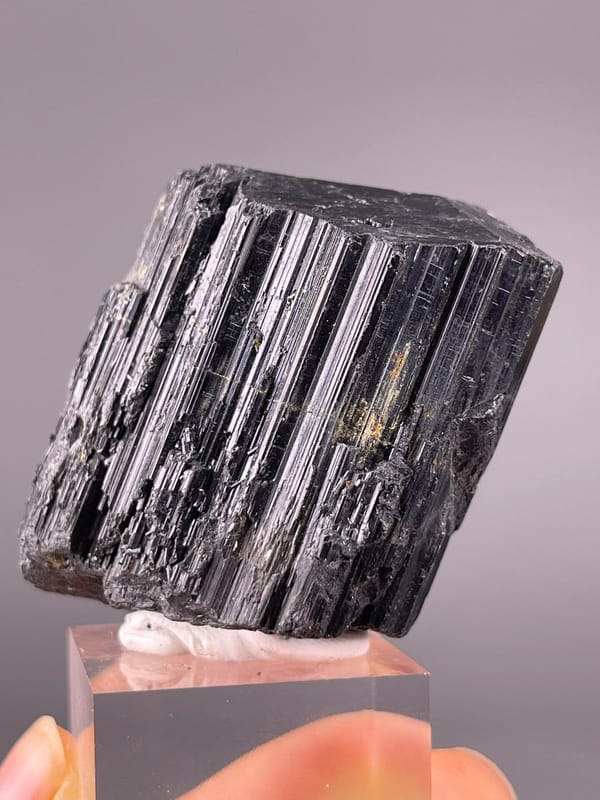 Black Tourmaline specimen