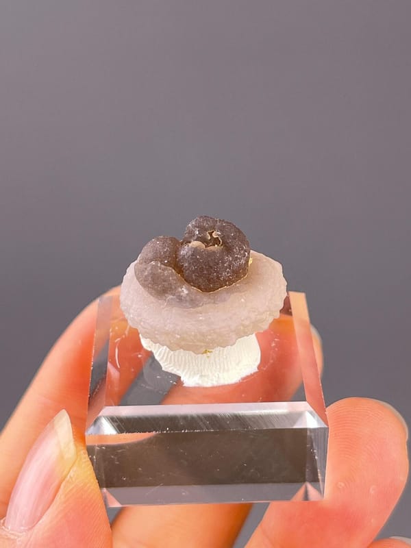 Side view of tiny panda calcite, 0.8×0.6×0.6 in, China