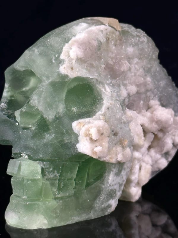 Scale reference of large green fluorite skull 3.6 inches