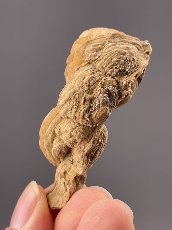 CaCO₃ trigonal calcite with botryoidal habit, Hechi, Guangxi, China