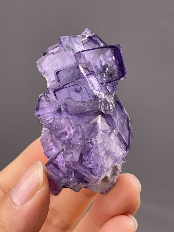 Close-up of fluorite cube showing phantom growth zones in purple
